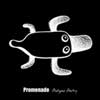 Promenade - FyN-45 cd " Platypus poetry" - Flor y Nata Records